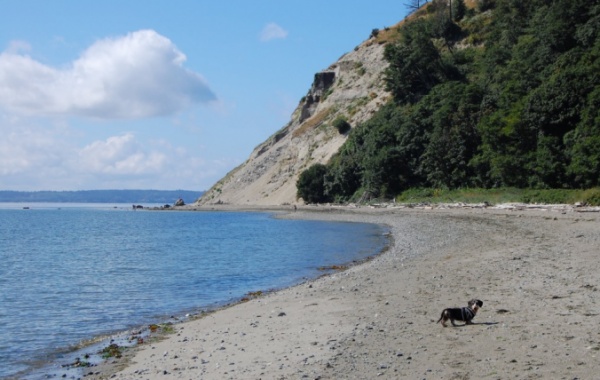 Double Bluff Beach