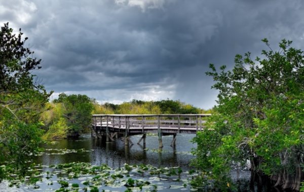 Everglades - dřevěný můstek
