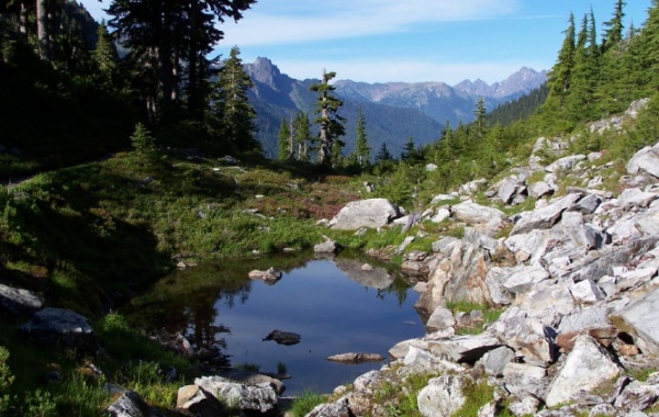 Olympic national park - údolí