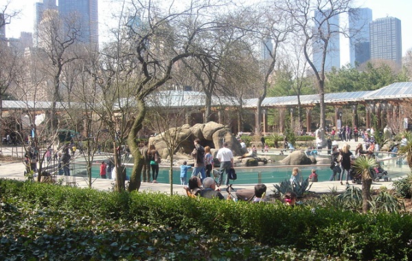 Central Park Zoo 1