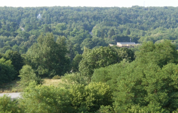 Centralia zarostlé město