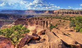 Capitol Reef: zázrak u řeky Freemont