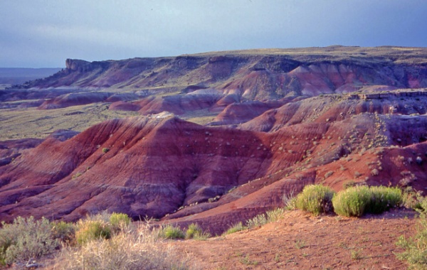 Painted desert v Arizoně