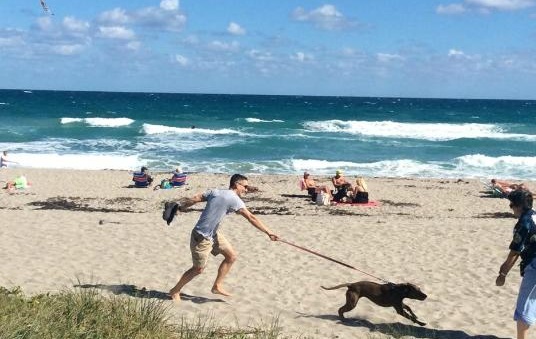 Jupiter Dog Beach, Florida