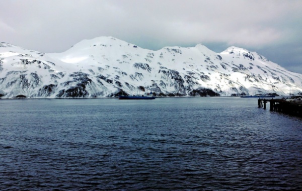 Zasněžené hory na Aljašce