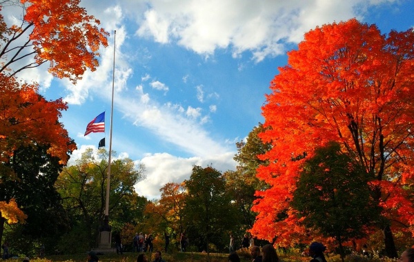 Podzimní stromy v NY.