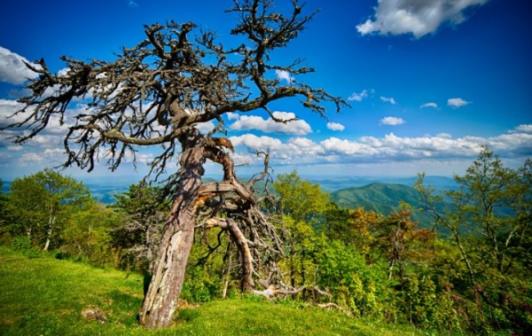 Great Smoky Mountains