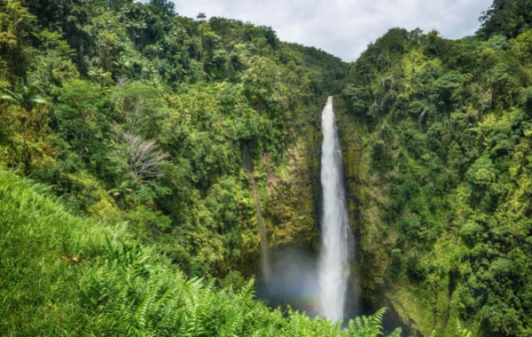 Akaka Falls, Havaj