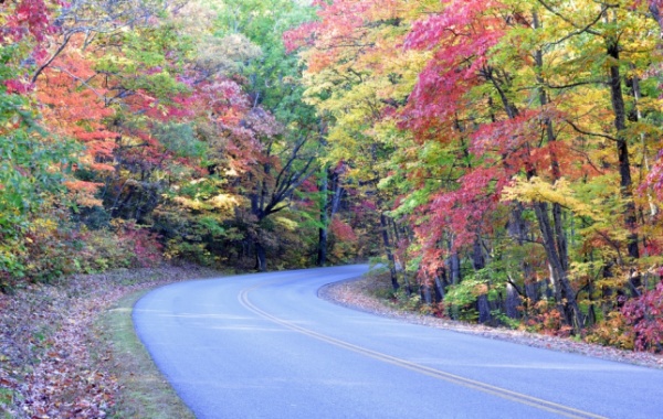 Nádherný barevný podzim u silnice Blue Ridge Parkway v severovýchodní oblasti USA