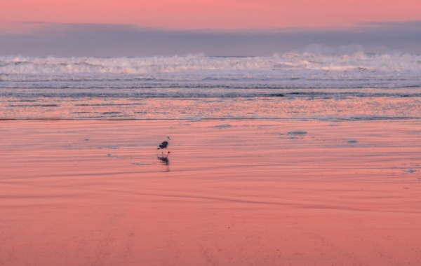 Manzanita Beach v Oregonu, USA.