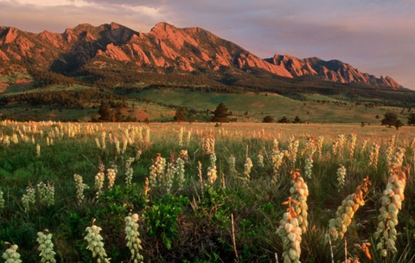 Hora Flatirons