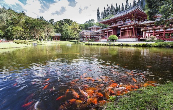 Jezírko před chrámem Byodo-in na havjském Oahu