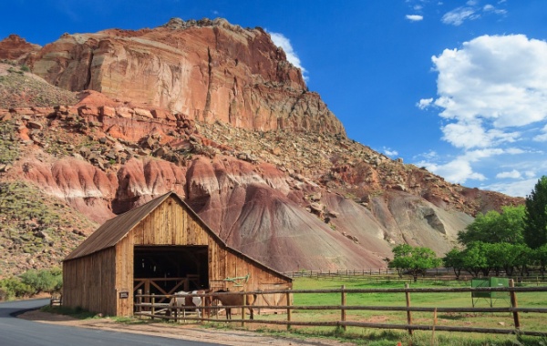 Giffordova farma v Capitol Reef