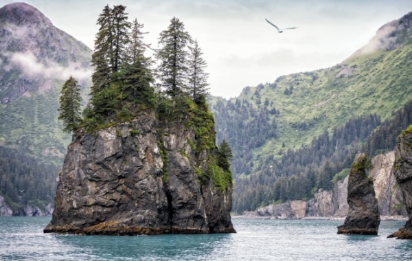 NP Kenai Fjords