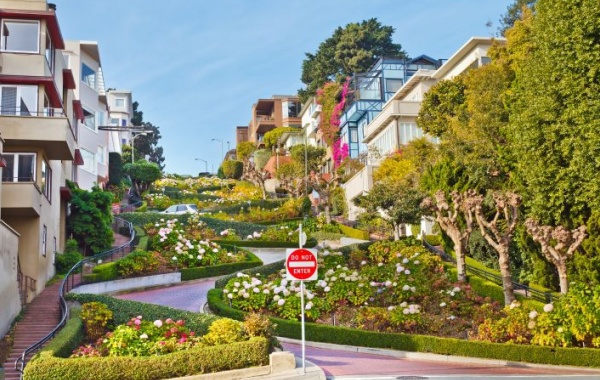 Lombard Street v San Franciscu