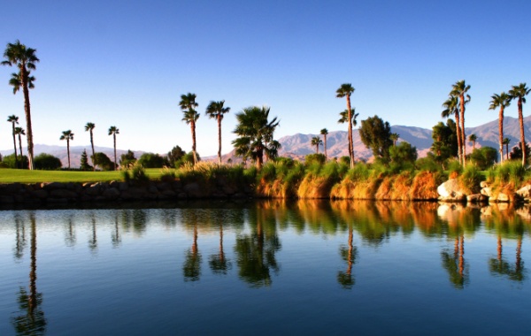 Palmy u jezírka v Palm Springs