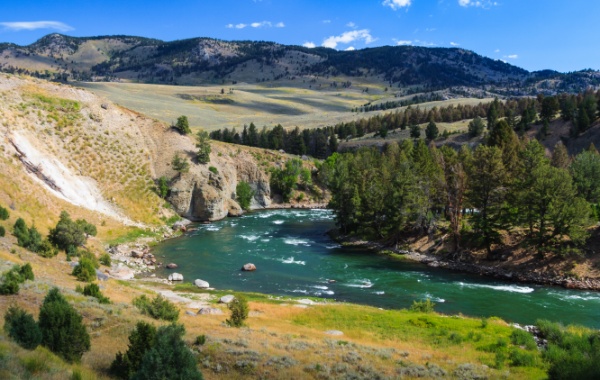 Vzpomínáme na léto u řeky Yellowstone