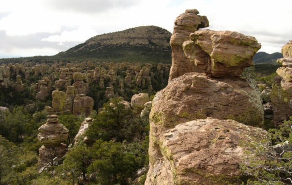 Chiricahua National Monument