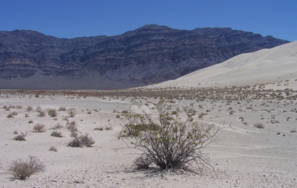 Death Valley