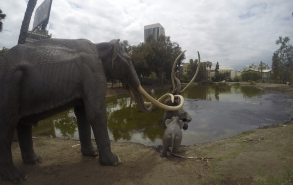 La Brea Tar Pits v americké Kalifornii