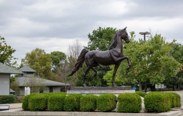 Lexington je známý zejména pro své koňské závody. Najdete tady ale také spoustu muzeí, lihovary nebo arboretum.