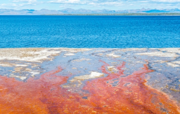 Lake Yellowstone, Wyoming - Amerika.cz