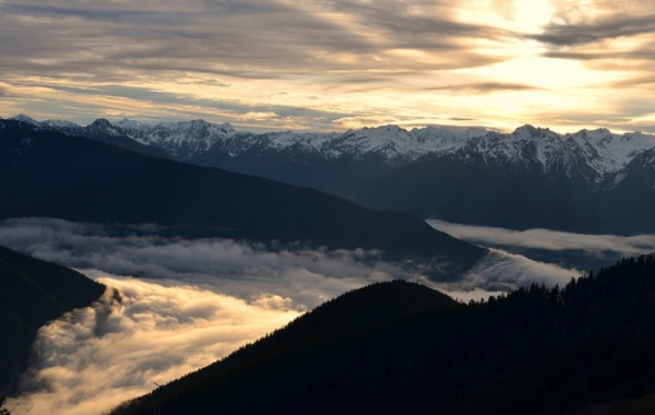 Olympic national park - mlha