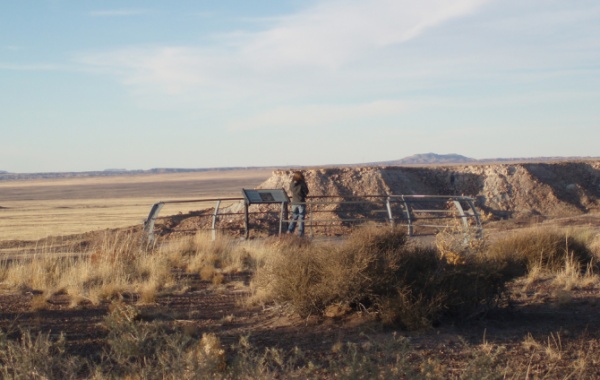 Petrified Forest