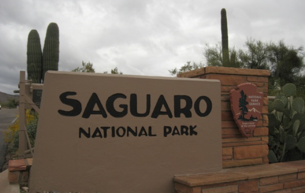 Národní park Saguaro