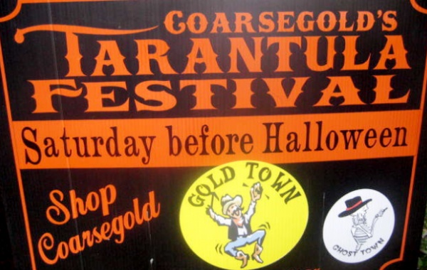 Tarantula Festival