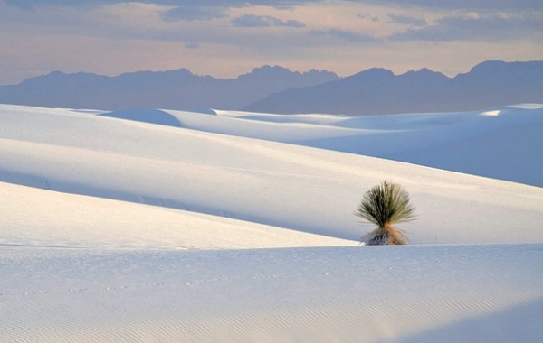 Žluté bábovičky jsou nudné, ve White Sands se dají dělat bílé