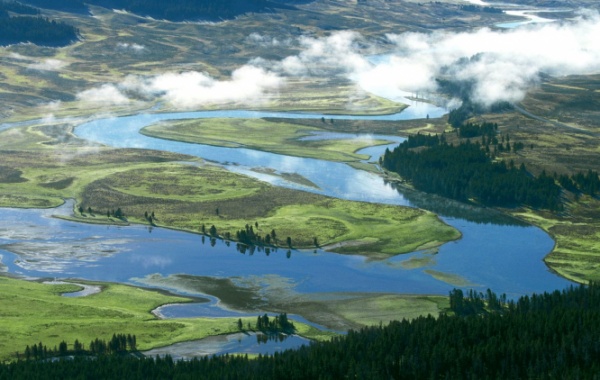 Yellowstone River - řeka, kterou pstruzi milují