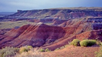 Painted desert v Arizoně