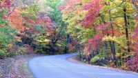 Nádherný barevný podzim u silnice Blue Ridge Parkway v severovýchodní oblasti USA