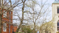 Harvard - church