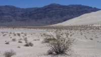 Death Valley