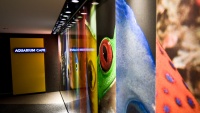 National Aquarium
