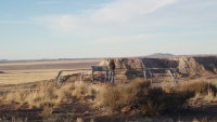 Petrified Forest