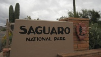 Národní park Saguaro