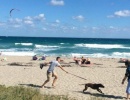 Jupiter Dog Beach, Florida