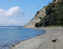 Double Bluff Beach, Washington