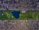 Stromy v Central Parku bojují s okolní betonovou přesilou