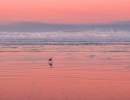 Manzanita Beach v Oregonu, USA.
