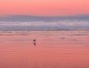 Manzanita Beach v Oregonu, USA.