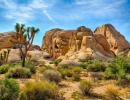 Národní park Joshua Tree