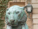 Maskot tygr univerzity v Princetonu