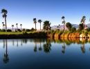 Palmy u jezírka v Palm Springs
