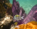 Coral Reef State Park, Florida - Amerika.cz