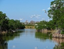 Everglades