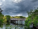 Dřevený most v národním parku Everglades ve státě Florida v USA